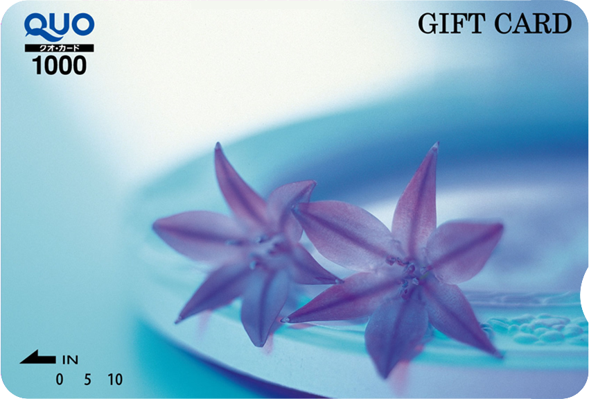 紫の花