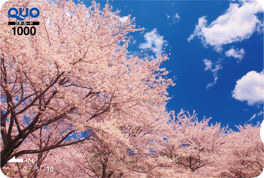 大空に桜咲く (ST010110)