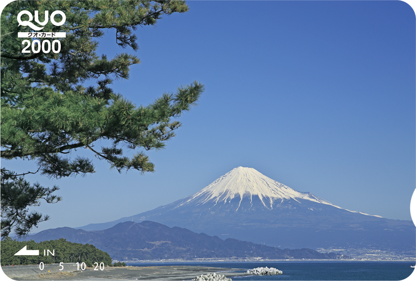 松林と富士(ST020020)