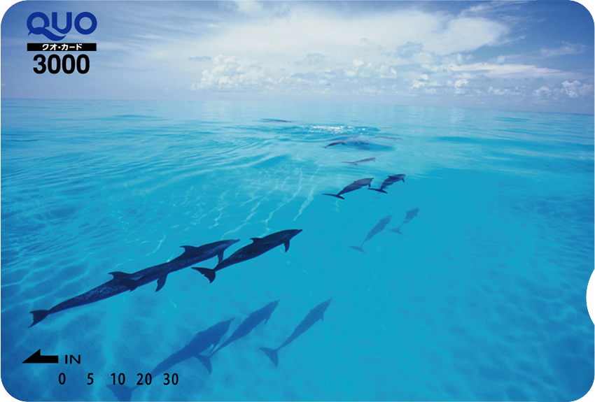イルカと青い海 (ST030011)