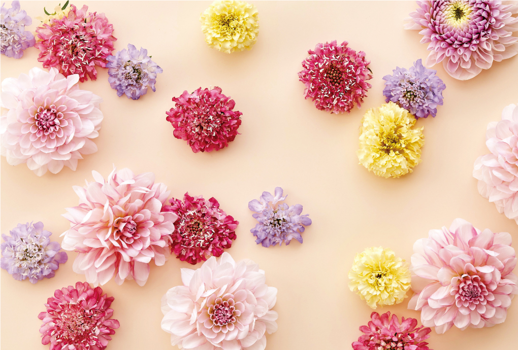 Gratitude～感謝～